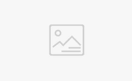 总公司喜获安徽省林业工业化“龙头企业”称呼