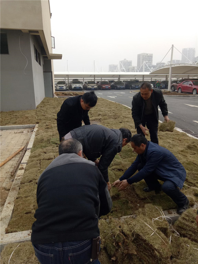 20190419093955_8990 6966集团-不凡成就非凡,相信品牌的力量