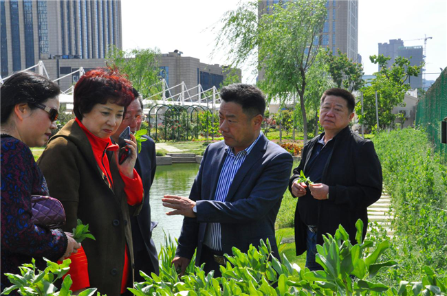 20200427103256_0281 6966集团-不凡成就非凡,相信品牌的力量