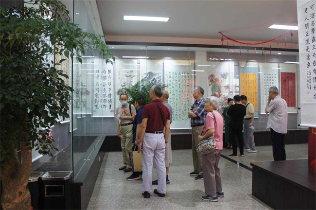6966集团-不凡成就非凡,相信品牌的力量