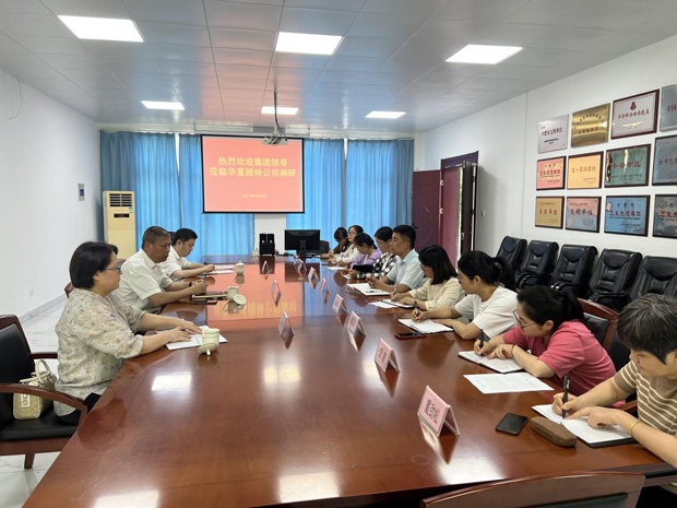 6966集团-不凡成就非凡,相信品牌的力量