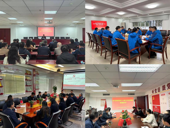 20241210150828_3626 6966集团-不凡成就非凡,相信品牌的力量